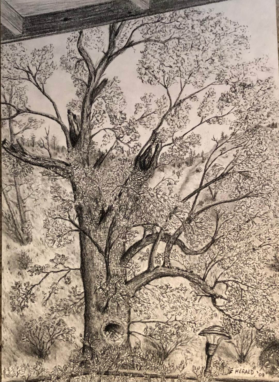 Floyd Herald Artwork