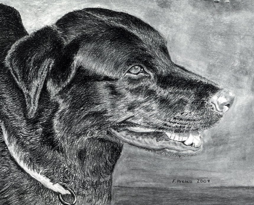 Floyd Herald Artwork