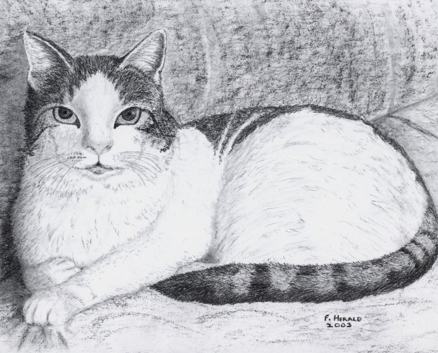 Floyd Herald Artwork