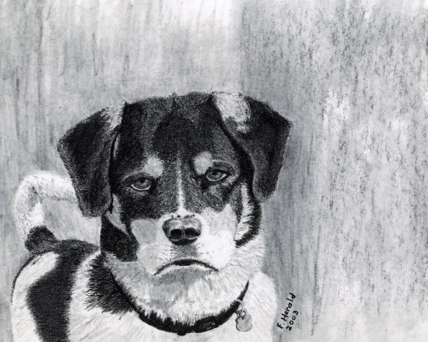 Floyd Herald Artwork