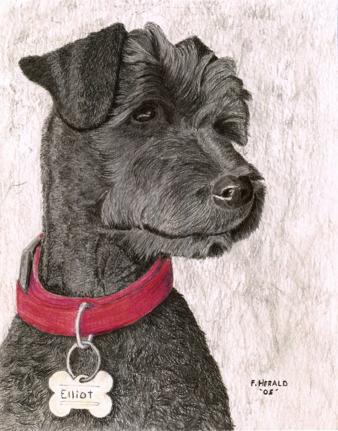 Floyd Herald Artwork