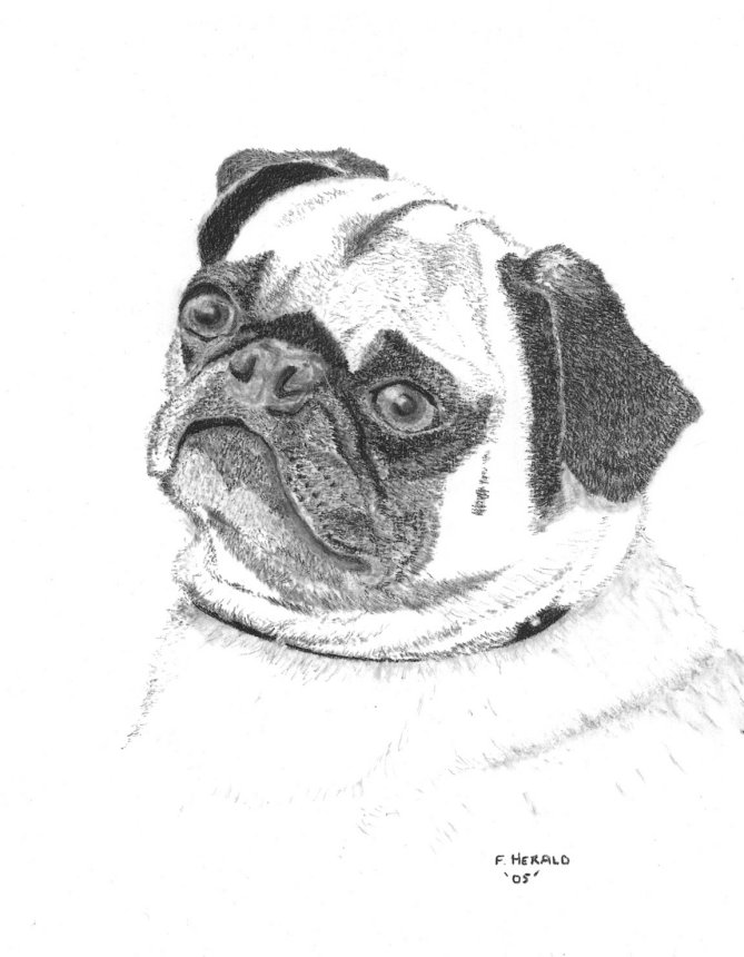 Floyd Herald Artwork