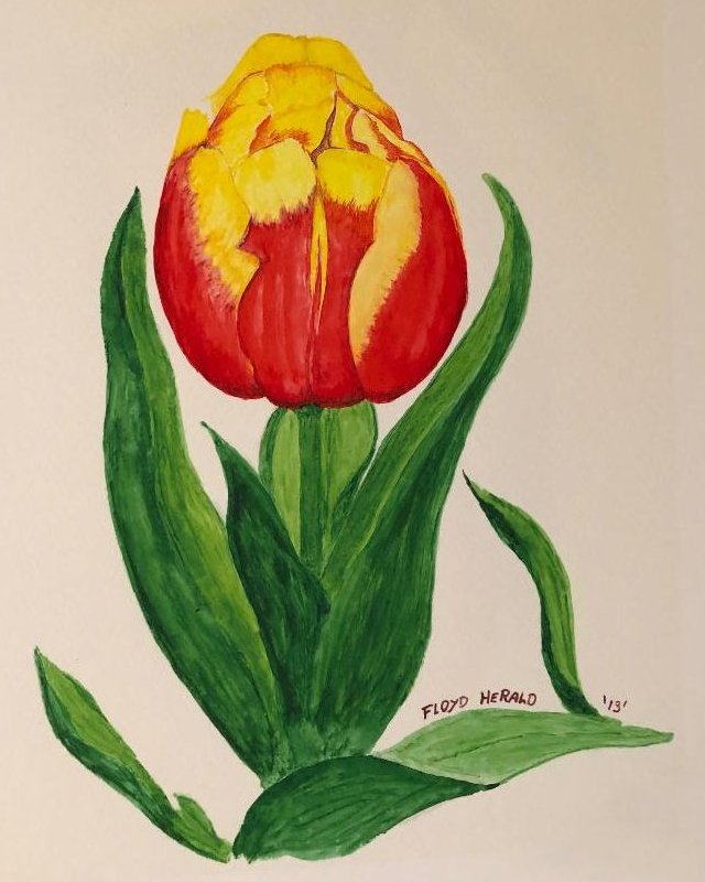 Floyd Herald Artwork