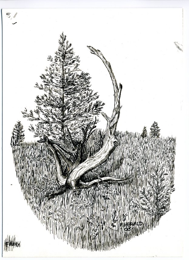 Floyd Herald Artwork