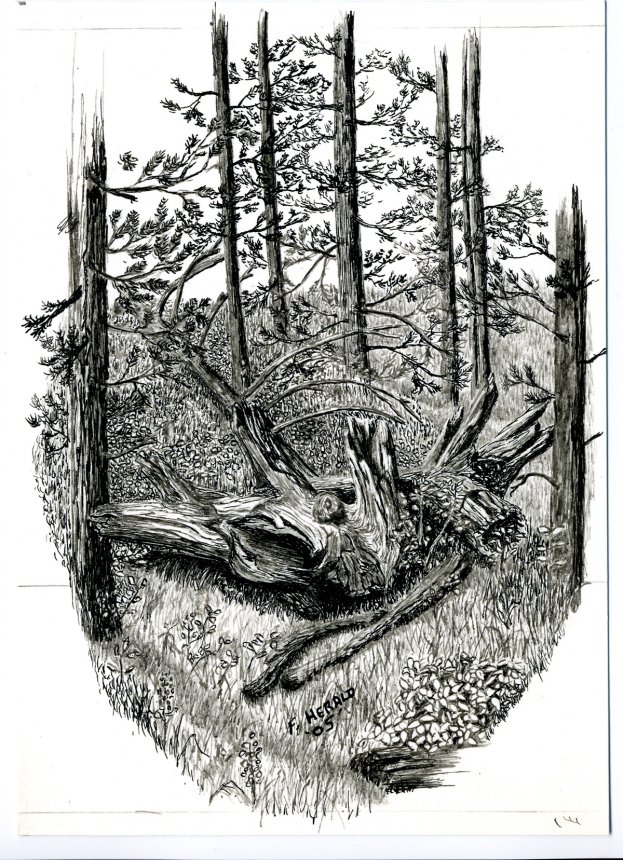 Floyd Herald Artwork