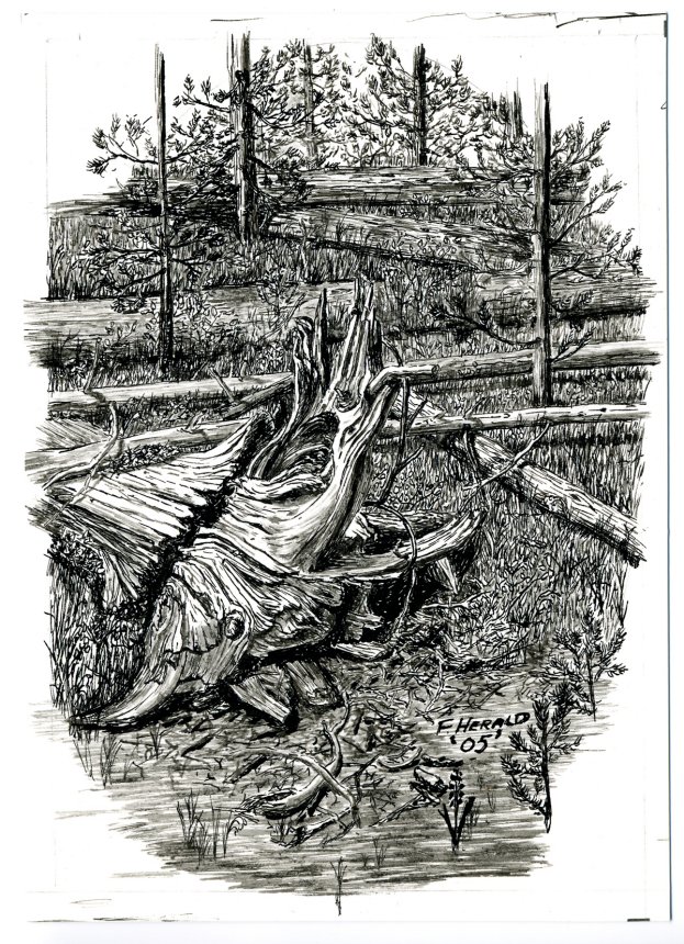 Floyd Herald Artwork