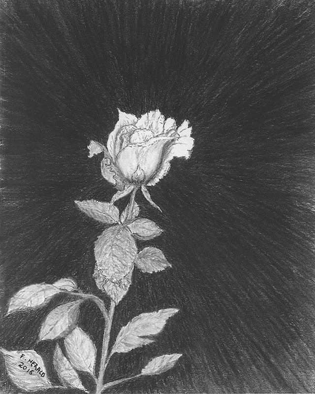 Floyd Herald Artwork