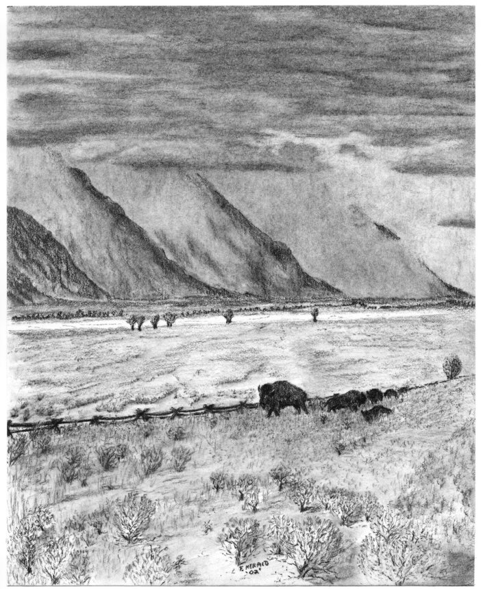 Floyd Herald Artwork