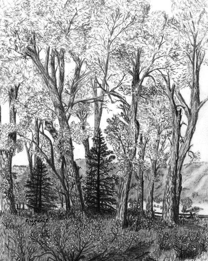 Floyd Herald Artwork