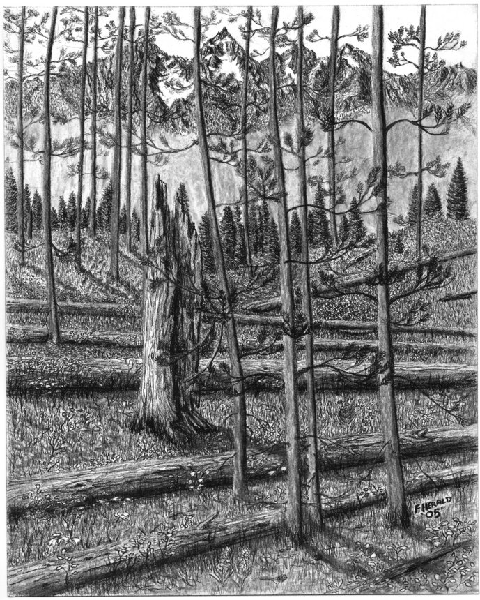 Floyd Herald Artwork