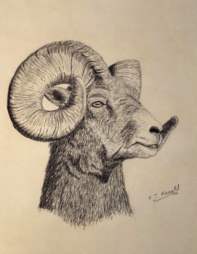 Floyd Herald Artwork