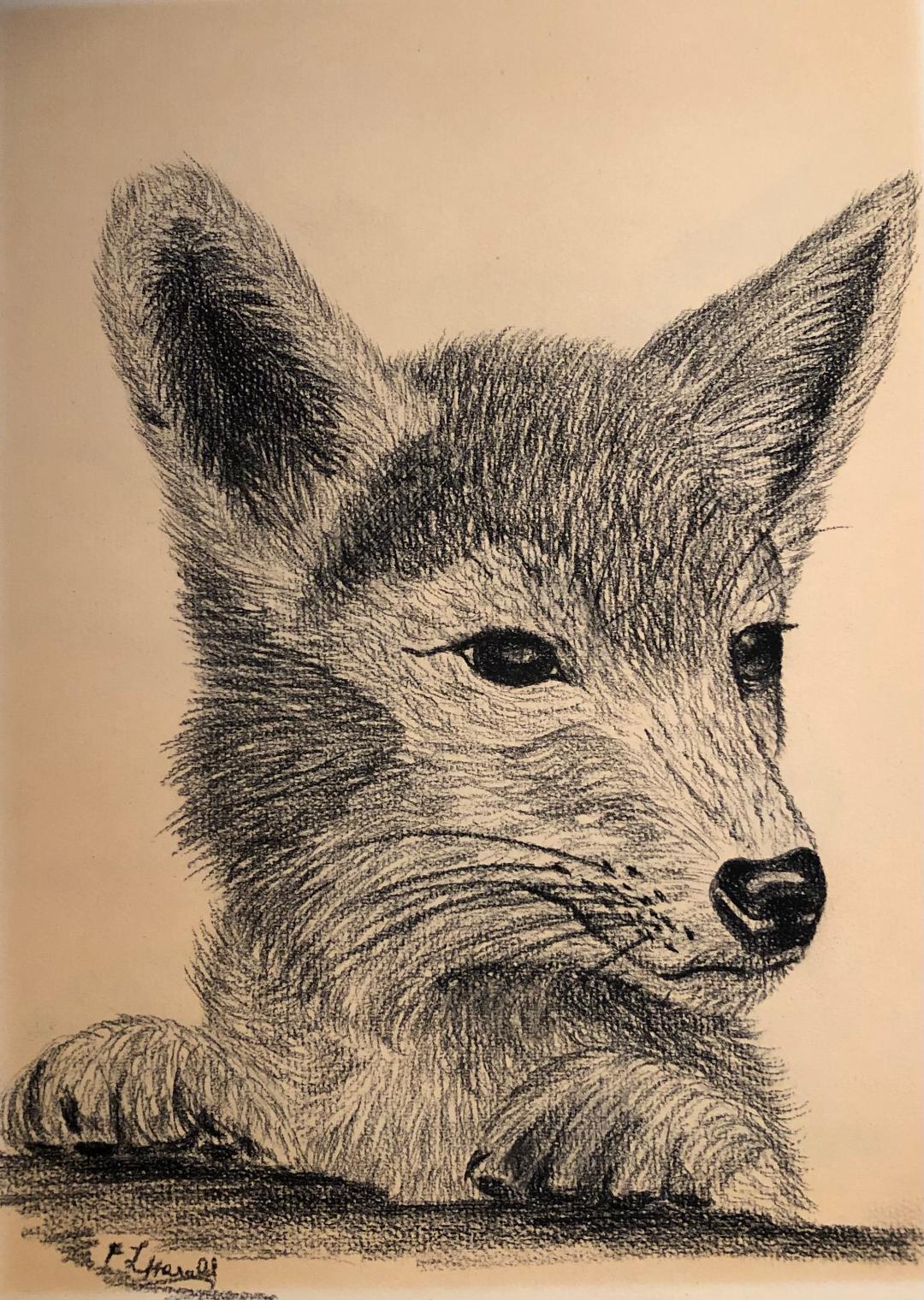 Floyd Herald Artwork