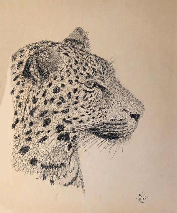 Floyd Herald Artwork