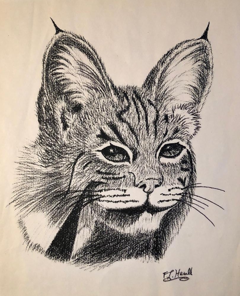 Floyd Herald Artwork