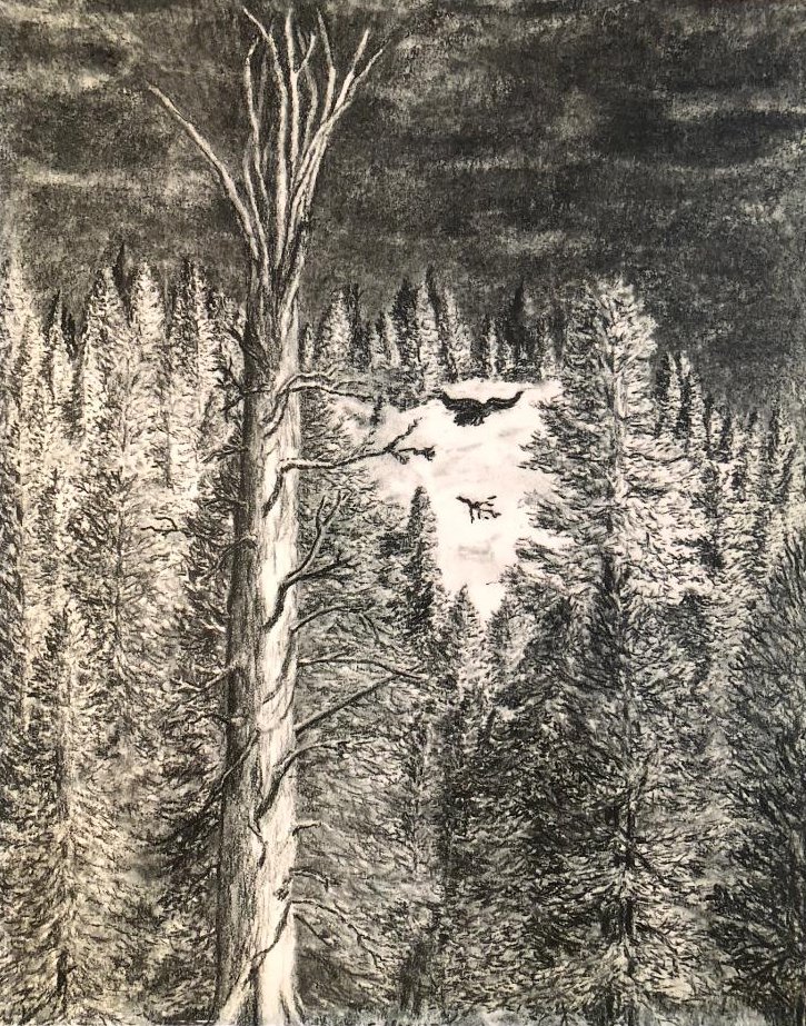 Floyd Herald Artwork